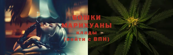 тгк Переславль-Залесский