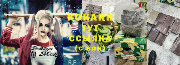 герыч Пересвет