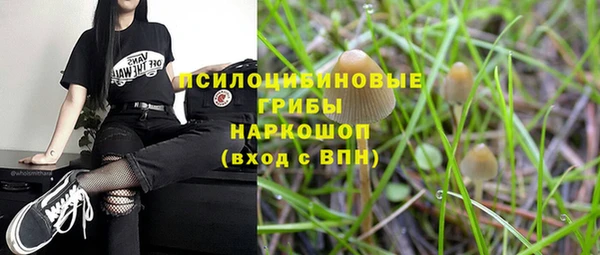 спиды Пестово