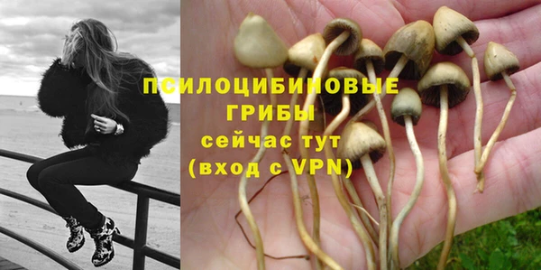 тгк Переславль-Залесский
