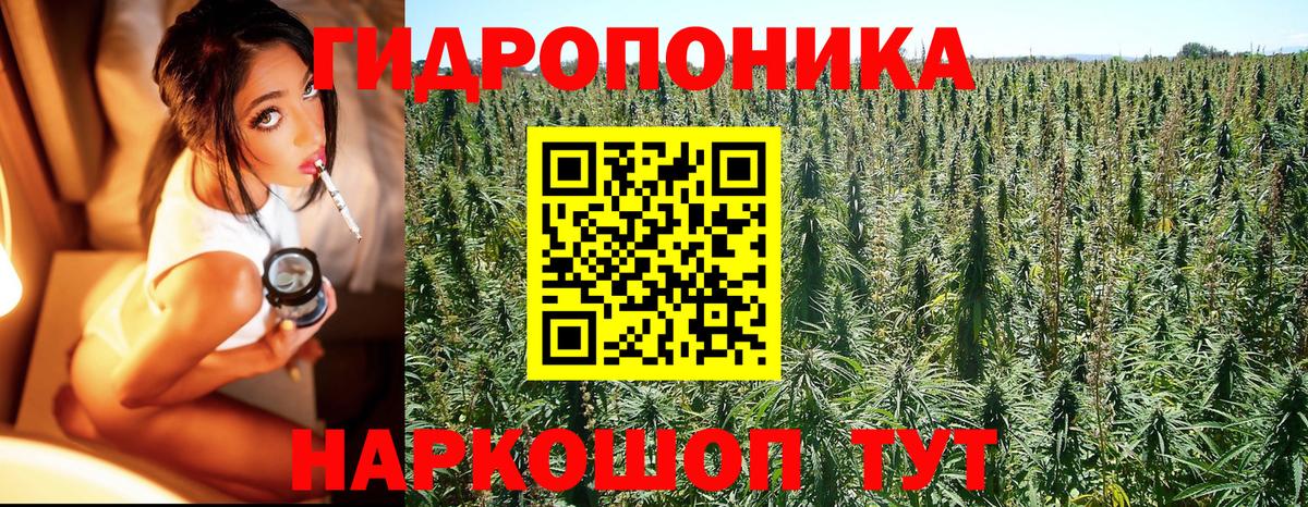 Шишки марихуана тримм  Вход с VPN  Бошки марихуана планчик  Шумерля  Бошки Шишки Amnesia 